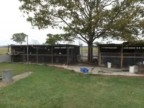 Fifth view of Homely house listing, 160 Rifflerange Road, Casino NSW 2470