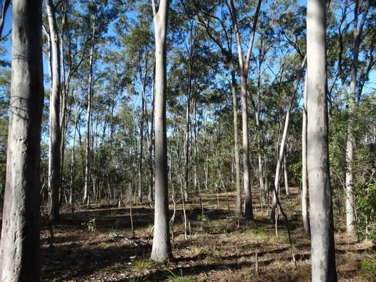 Second view of Homely rural property listing, Lot 49 Kirkpatrick Road, Euleilah QLD 4674