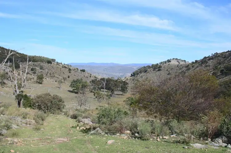 Main view of Homely rural property listing, 1759 Mount Mackenzie Road, Tenterfield NSW 2372