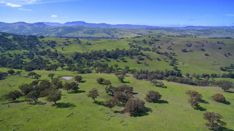 Second view of Homely rural property listing, 725 Middle Creek Road, Merriwa NSW 2329
