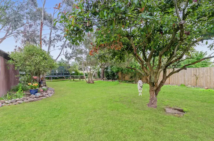 Sixth view of Homely house listing, 10 Austin Street, Winchelsea VIC 3241