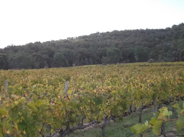 Main view of Homely rural property listing, Address available on request