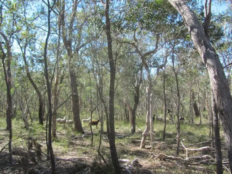 Seventh view of Homely rural property listing, 210 Capricornia Drive, Deepwater QLD 4674