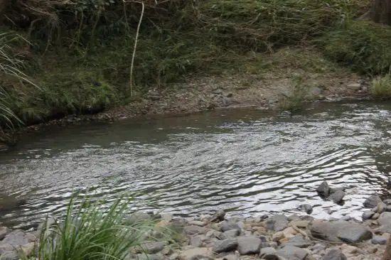 Seventh view of Homely rural property listing, Address available on request