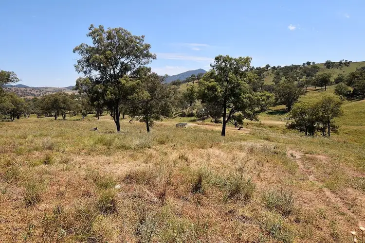 Seventh view of Homely rural property listing, Jura Waverley Road, Scone NSW 2337