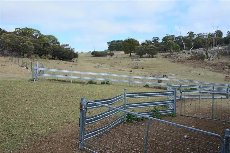 Seventh view of Homely rural property listing, 466 Gunyah Road, Tenterfield NSW 2372