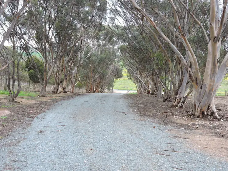 Fifth view of Homely rural property listing, 663 Belvedere, Mannum SA 5238