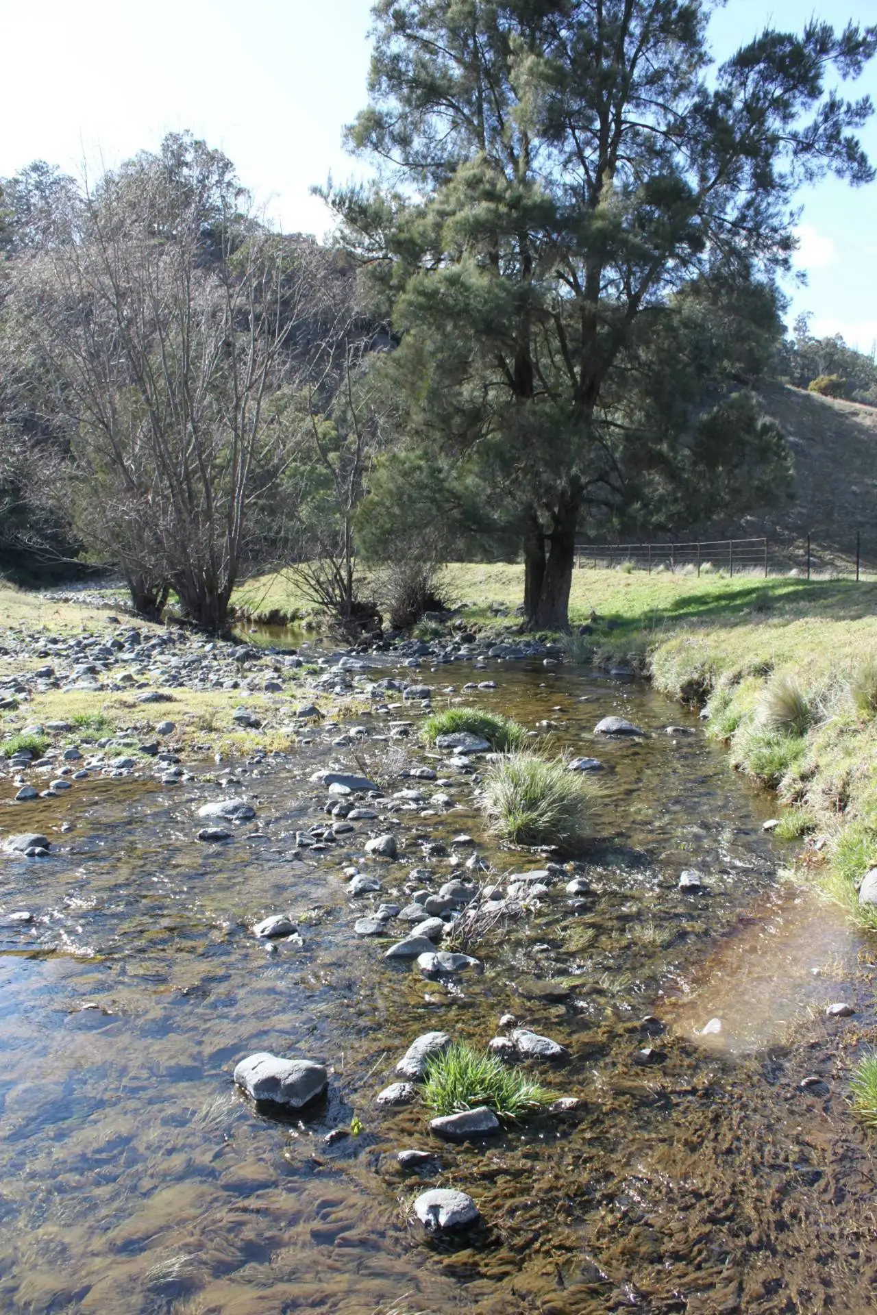 Main view of Homely rural property listing, "Isis Range" Crawney Road, Timor NSW 2338