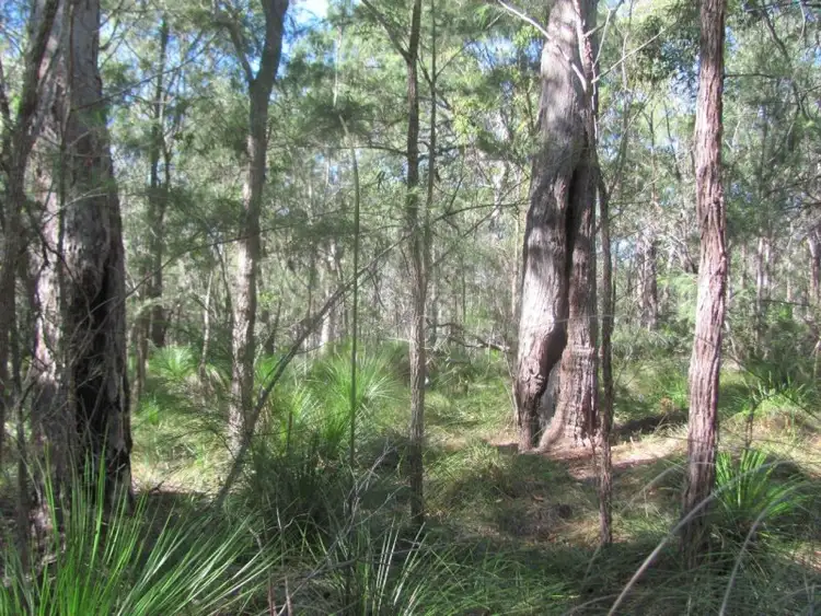 Fourth view of Homely rural property listing, Lot 77 Pacific Drive, Deepwater QLD 4674