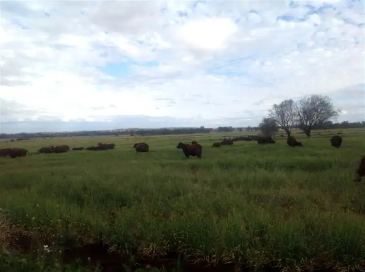 Main view of Homely rural property listing, 1331 Malakoff-Kaimkillenbun Road, Kaimkillenbun QLD 4406