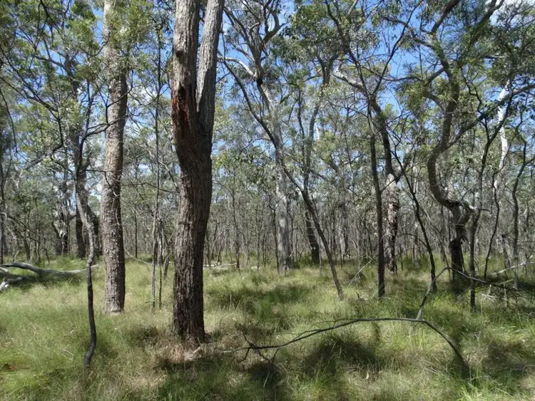 Third view of Homely rural property listing, Lot 177 Oceanna Drive, Deepwater QLD 4674