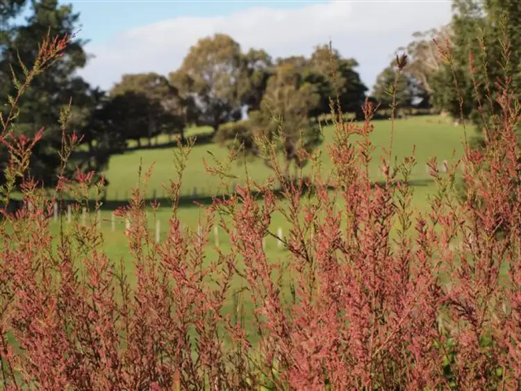 Fifth view of Homely house listing, 724 Nubeena Road, Koonya TAS 7187