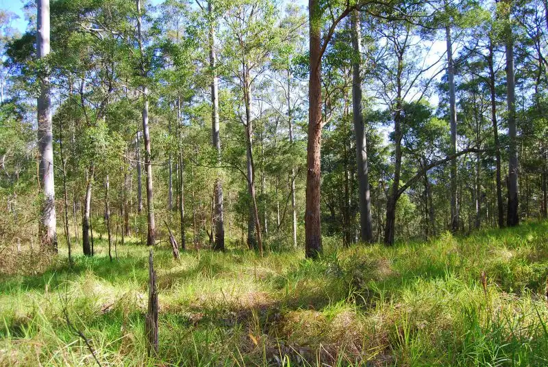 Main view of Homely land listing, 87 Doyles Road Reesville, Maleny QLD 4552