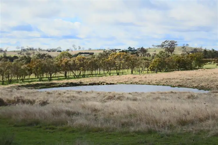 Third view of Homely land listing, 630 Bryans Gap Road, Tenterfield NSW 2372