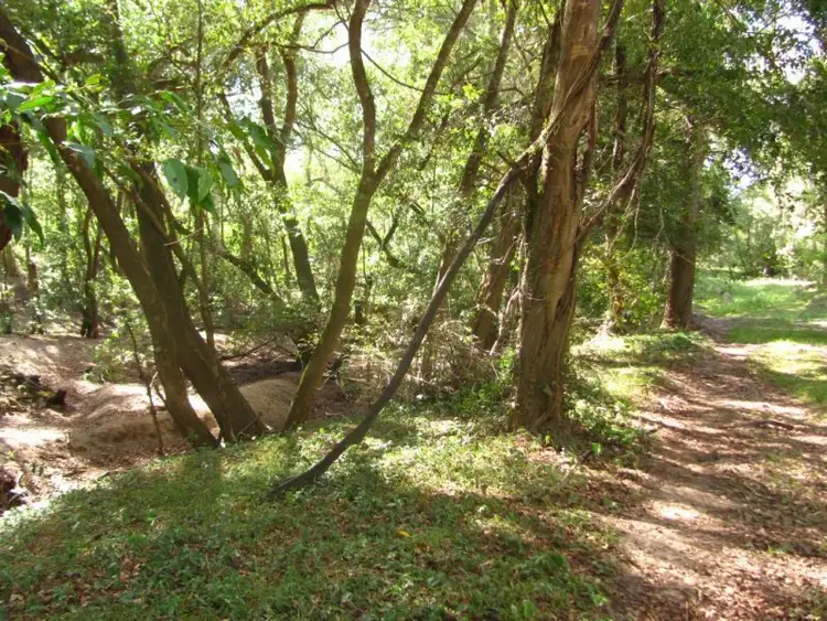 Fourth view of Homely rural property listing, Lot 4 Mt Bucca Road, Yandaran QLD 4673