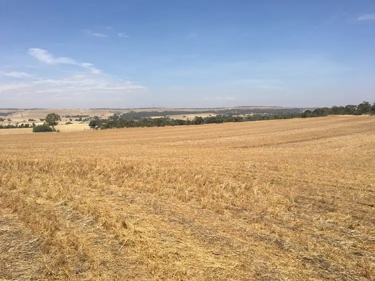 Third view of Homely rural property listing, Lt 22 & 23 Old Princes Highway, Callington SA 5254
