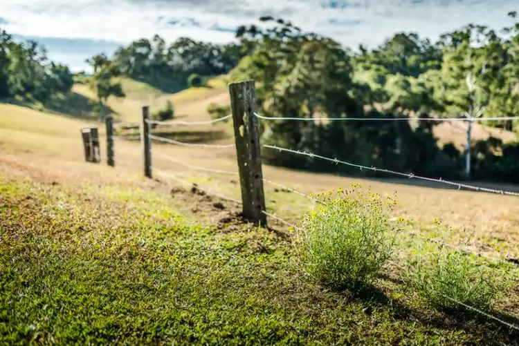 Seventh view of Homely rural property listing, 595 Bowraville Road, Bellingen NSW 2454