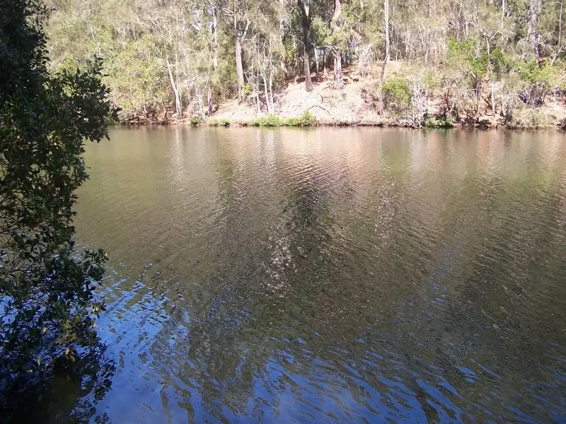 Main view of Homely rural property listing, 424 Minimbah West Branch, Nabiac NSW 2312