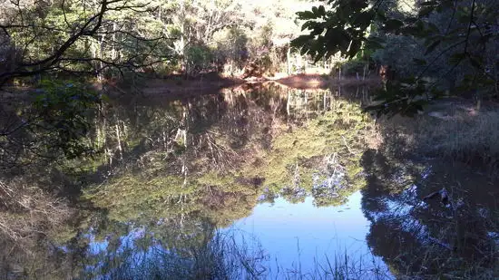 Sixth view of Homely land listing, 1412 Mossman - Mount Molloy Road, Julatten QLD 4871