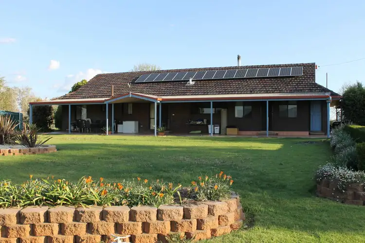 Main view of Homely rural property listing, 253 Whitehouse Lane, Tamworth NSW 2340