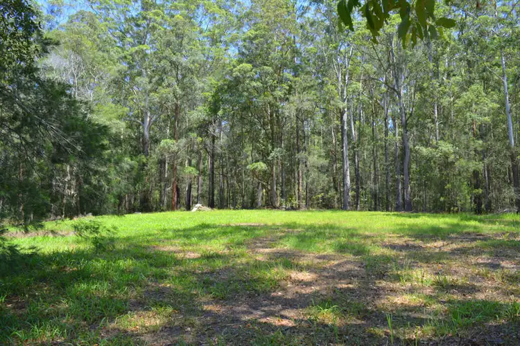 88 Lyon Street, Repton NSW 2454