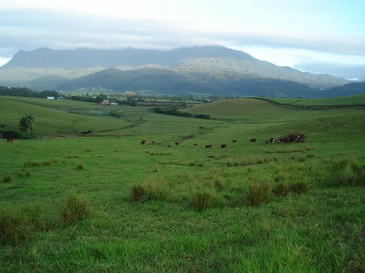 Main view of Homely rural property listing, 83 Knust Road, Woopen Creek QLD 4871