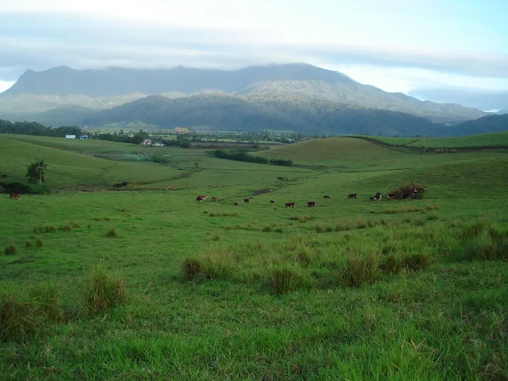Main view of Homely rural property listing, 83 Knust Road, Woopen Creek QLD 4871
