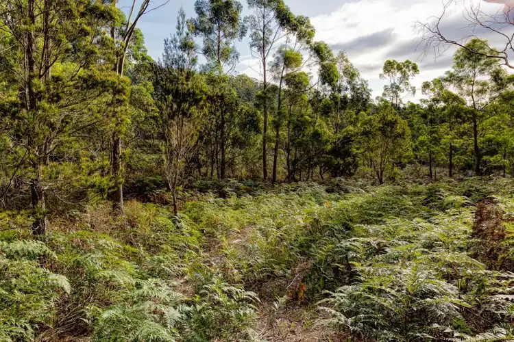 Third view of Homely land listing, Lot 1 Happy Valley Road, Spring Beach TAS 7190