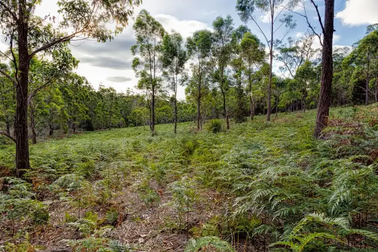 Fifth view of Homely land listing, Lot 1 Happy Valley Road, Spring Beach TAS 7190
