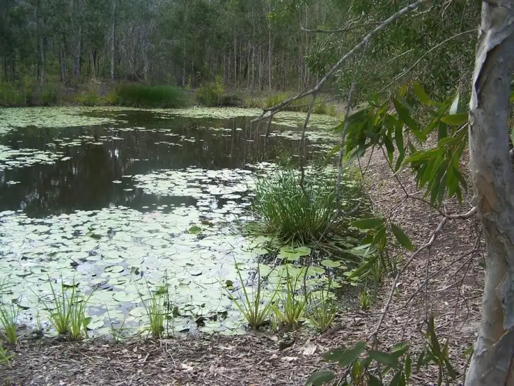 Fourth view of Homely rural property listing, 806 Capricornia Drive, Deepwater QLD 4674