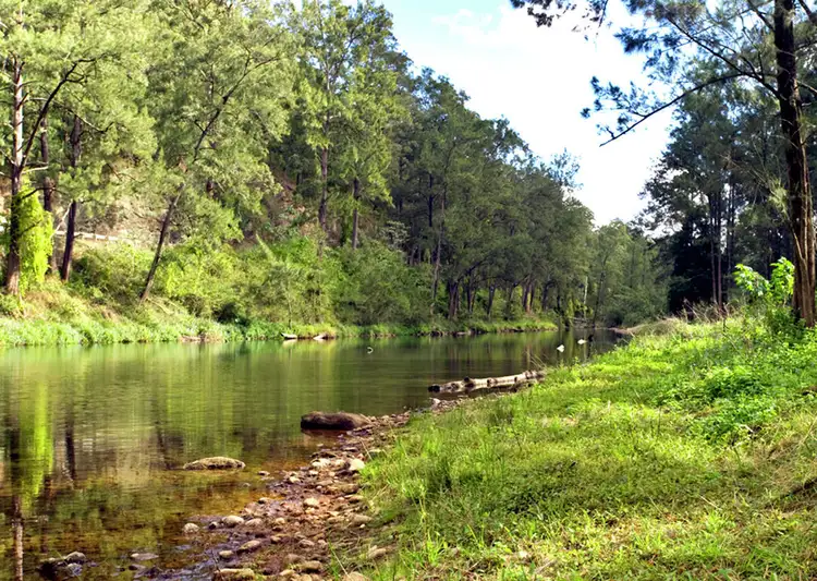 635 Gordonville Rd, Bellingen NSW 2454