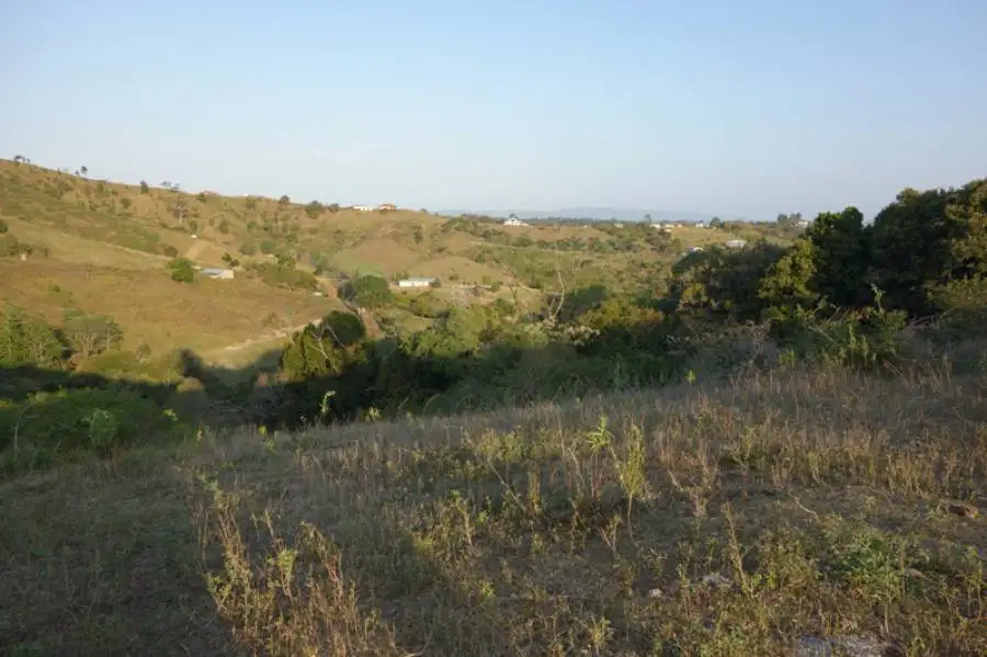 Main view of Homely land listing, Lot 1 Allen Road, Chatsworth QLD 4570