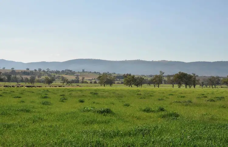 Fourth view of Homely rural property listing, Lot 402 Nandowra Rd, "Applegum", Scone NSW 2337