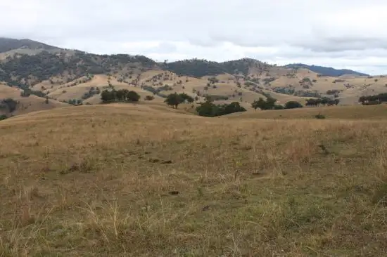 Sixth view of Homely rural property listing, 1 Glen Dyne Upper Rouchel Road, Rouchel NSW 2336