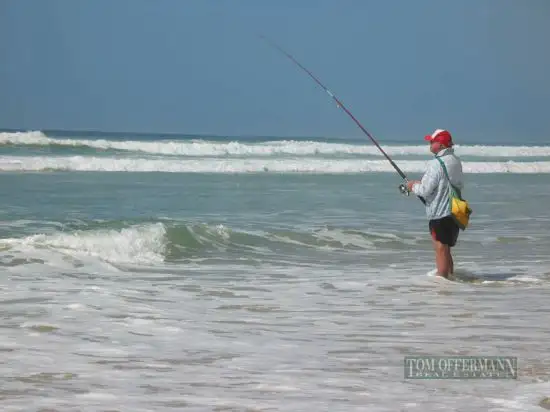 Seventh view of Homely house listing, 38 Park Crescent, Sunshine Beach QLD 4567