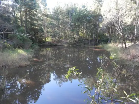 Fourth view of Homely rural property listing, 525 Bruxner Road, Tabulam NSW 2469