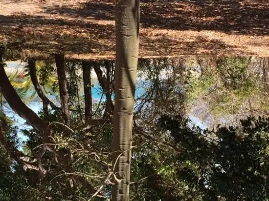 70 Gloucester Avenue, Hideaway Bay QLD 4800
