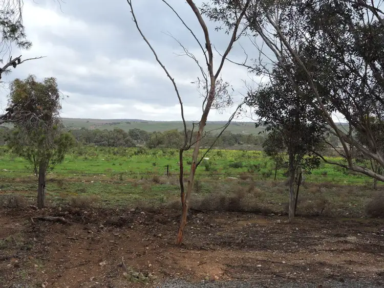 Fourth view of Homely rural property listing, 663 Belvedere, Mannum SA 5238