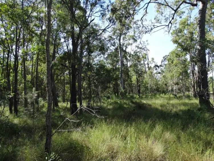 Fifth view of Homely rural property listing, 806 Capricornia Drive, Deepwater QLD 4674