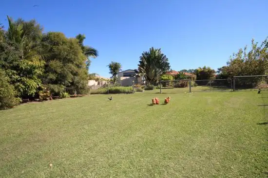 Fourth view of Homely rural property listing, 1 Jamor Court, Elimbah QLD 4516