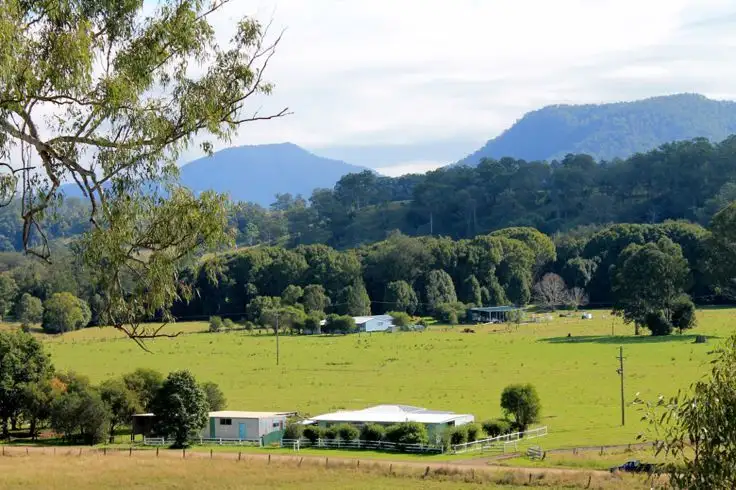 Main view of Homely rural property listing, 365 Killaloe Road - Green Pigeon, Kyogle NSW 2474