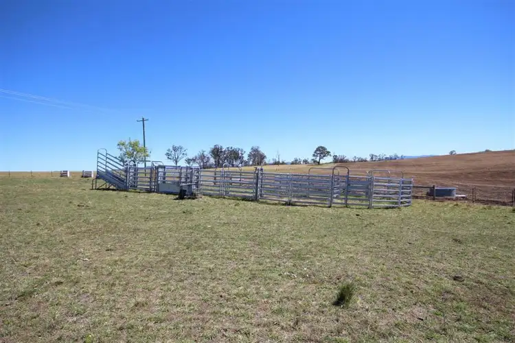 Fifth view of Homely rural property listing, 157 Nutshell Road, Tenterfield NSW 2372
