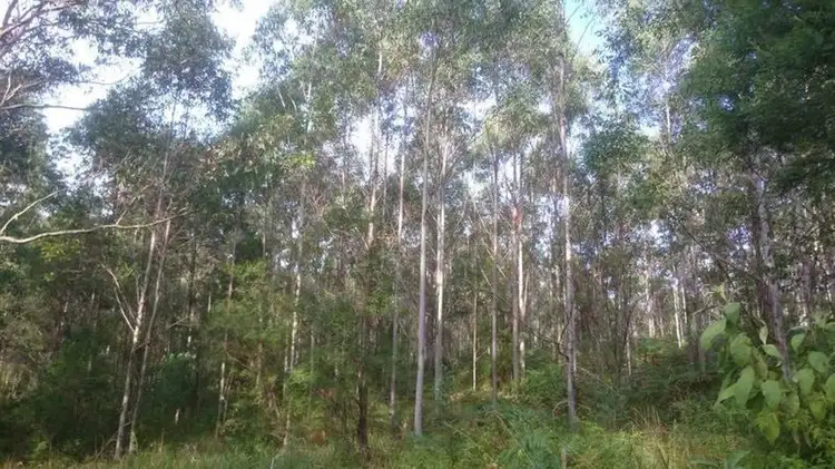 Fourth view of Homely rural property listing, AAA Blue Gum Road, Ellenborough NSW 2446