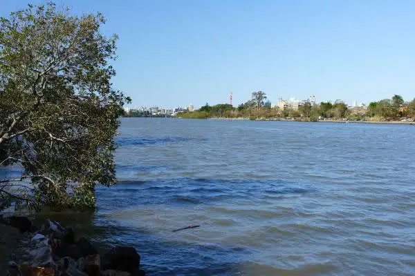 Sixth view of Homely house listing, 590 Coronation Drive, Toowong QLD 4066