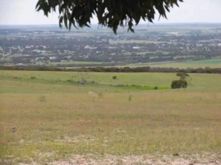 Main view of Homely land listing, Lot 82 Koehler Road, Murray Bridge SA 5253