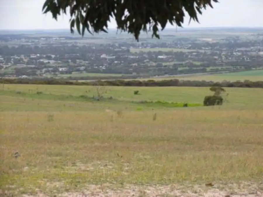 Main view of Homely land listing, Lot 82 Koehler Road, Murray Bridge SA 5253