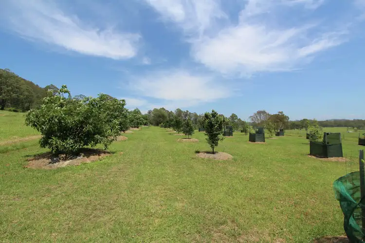 Third view of Homely rural property listing, 147 Koribah lane, Dyers Crossing NSW 2429