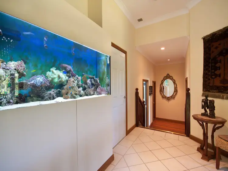 Third view of Homely house listing, 11 Mangosteen Close, Smithfield QLD 4878