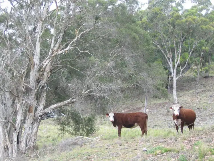 Fifth view of Homely rural property listing, Address available on request