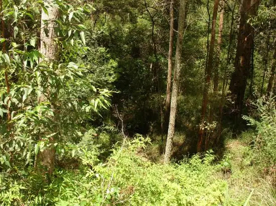 Second view of Homely land listing, 211 LONG GULLY ROAD, Drake NSW 2469